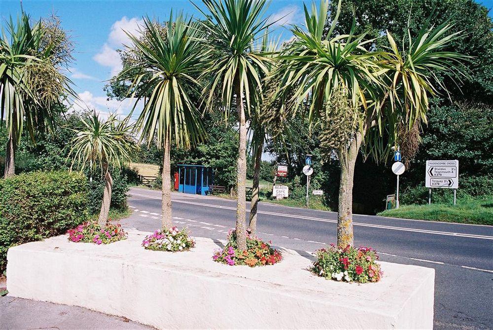 Crossways & Sea View Holiday Apartments Torquay Exteriör bild